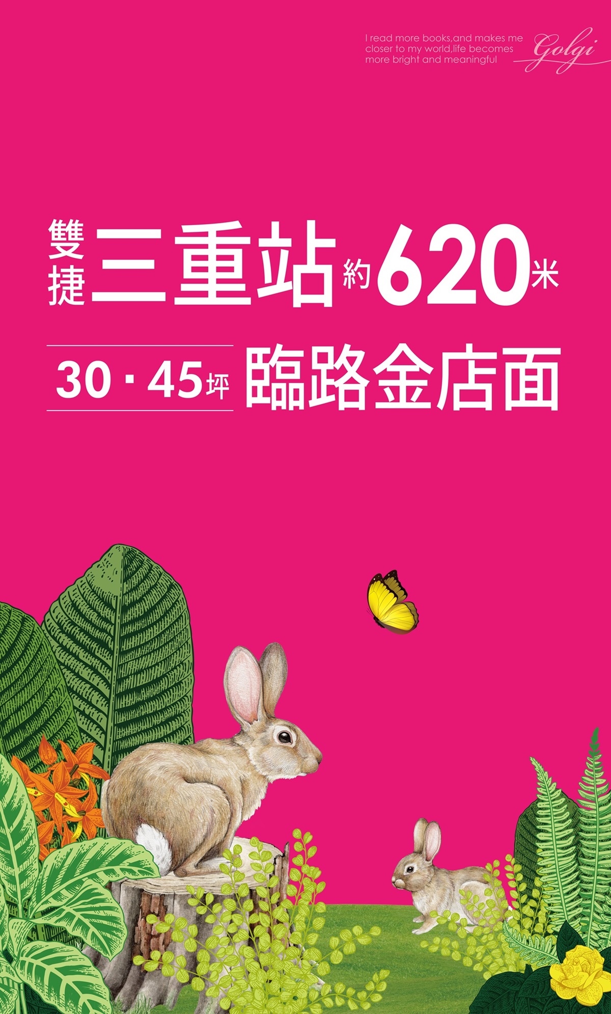 漾漾