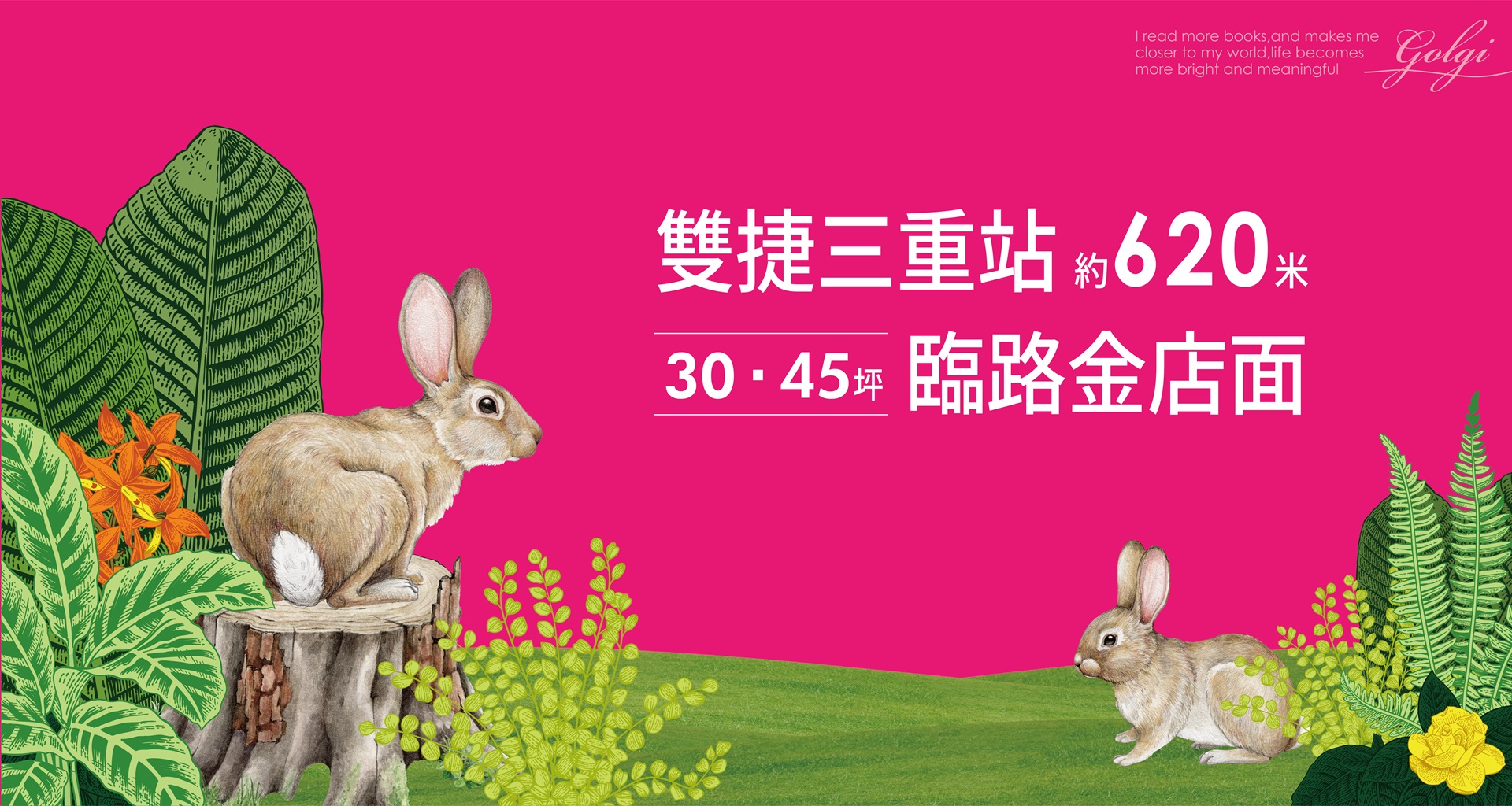 漾漾